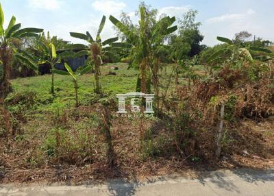 42973 Land for sale on Chaiyaphruek Road, near Crystal Chaiyaphruek, area 2-3-9 rai.