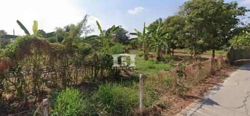 42973 Land for sale on Chaiyaphruek Road, near Crystal Chaiyaphruek, area 2-3-9 rai.