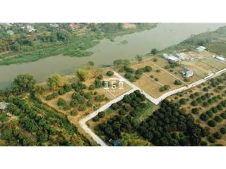 90726 - Land for sale, area 6-1-97.20 rai, next to the Ping River, Lamphun.