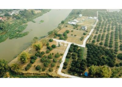 90726 - Land for sale, area 6-1-97.20 rai, next to the Ping River, Lamphun.