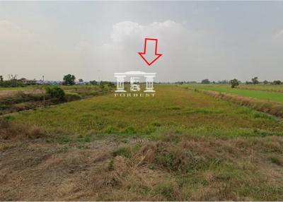 42906 - Land for sale along Khlong 5, area 28-0-18 rai, near Thanyaburi District Court.