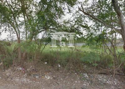 41016 - Khlong Thawi Watthana, Land for sale, plot size 232 Sq.wa.