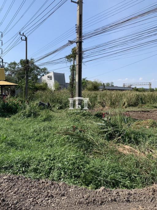 42794 - Suwinthawong land for sale, area 2-3-36 rai, near Mega Home Minburi.