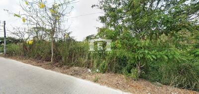 38529 - Klong 6 Land for sale, area 6-3-61 rai, near Rajamangala Technology Thanyaburi.