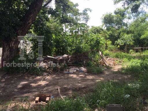 35689 - Ram Inthra Road, Land for sale, plot size 720 Sq.m.