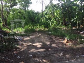 35689 - Ram Inthra Road, Land for sale, plot size 720 Sq.m.