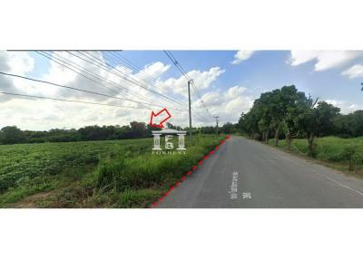 90692 - Pak Chong Land for sale 24-3-81.9 rai near Muak Lek Technical College.