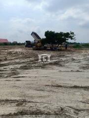 42842 - Bangna-Trad Land for sale, area 50 rai, land filled, near ABAC University.