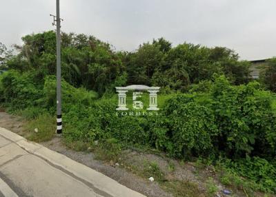 42798 - Land for sale in Krathum Baen, Samut Sakhon, area 2-0-89.7 rai, next to Sai Yai Rak Road. and next to the road on both sides