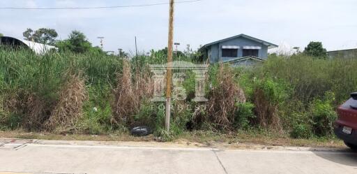 41356 - King Kaew 64, Lat Krabang, Land for sale, Plot size 800 Sq.m.