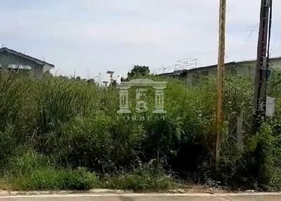 41356 - King Kaew 64, Lat Krabang, Land for sale, Plot size 800 Sq.m.