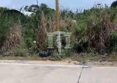 41356 - King Kaew 64, Lat Krabang, Land for sale, Plot size 800 Sq.m.