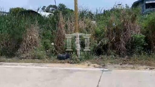 41356 - King Kaew 64, Lat Krabang, Land for sale, Plot size 800 Sq.m.