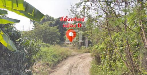 The factory is only 100 meters away from Phetkasem . There are 4 factories available for sale at a special price. Land area 17-2-30 rai. (6.9 acre