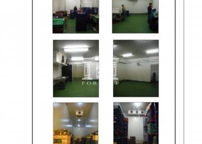 Cold room + office for sale, Khlong Song, Khlong Luang, Thai Building, size 2 Rai