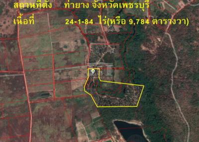 40155 Jackfruit orchard land, Tha Yang, Phetchaburi Province, area 24-1-84 rai, very cheap, suitable for speculative purchase, fruit orchard.