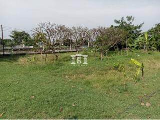 42708 - Land area 6-1-81 rai, near Central Pinklao, Charansanitwong Rd. 41.