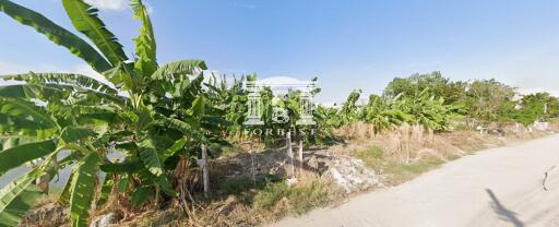 42339 - Land for sale, Ramintra Road, near Ramintra Expressway Market, area 5-0-9.30 rai.