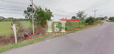 41881 - Land for sale 66-0-74 rai Wang Noi, Phra Nakhon Si Ayutthaya. Near Ayothaya Link Golf Course