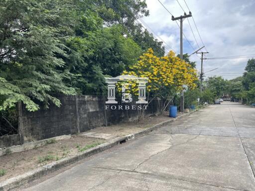 41861 - Land for sale, good location. Muang Ake Village, Rangsit, near Rangsit University, area 271 square wa