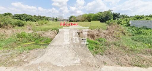 90422 - Land for sale near Bang Saray Beach, Chonburi, area 2-3-97 rai.