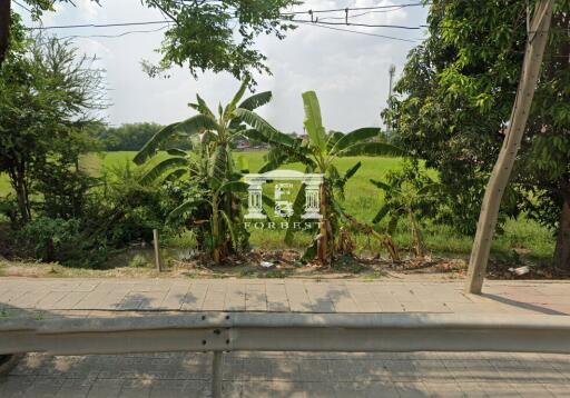 42332 - Land for sale, area 3-2-08.4 rai, next to Nimit Mai Road. The back is next to Khlong Sam Wa.