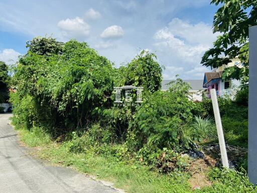 42643 - Land for sale, 124 sq.wa., Sukhumvit 71, near BTS Phra Khanong