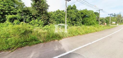 42625 - Land for sale 30-1-26 rai, Pathio District, Chumphon Province.