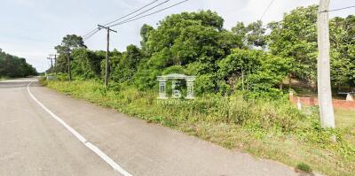 42625 - Land for sale 30-1-26 rai, Pathio District, Chumphon Province.