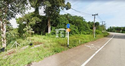 42625 - Land for sale 30-1-26 rai, Pathio District, Chumphon Province.