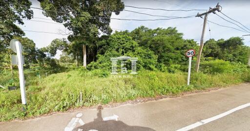 42625 - Land for sale 30-1-26 rai, Pathio District, Chumphon Province.