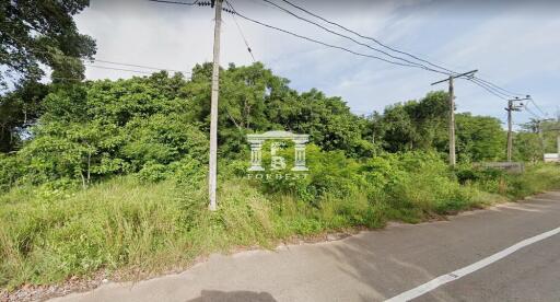 42625 - Land for sale 30-1-26 rai, Pathio District, Chumphon Province.