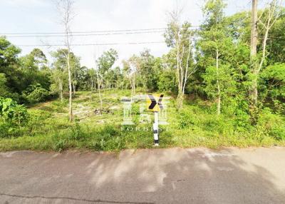 42626 - Land for sale 12-3-75 rai, Pathio District, Chumphon Province.