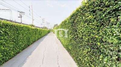 42565 - Land for long term lease, area 5-0-96 rai, Pradit Manutham