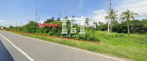 90455 - Land for sale, area 4-1-70 rai, Chaiyo District, Ang Thong, near the College of Physical Education, Ang Thong.