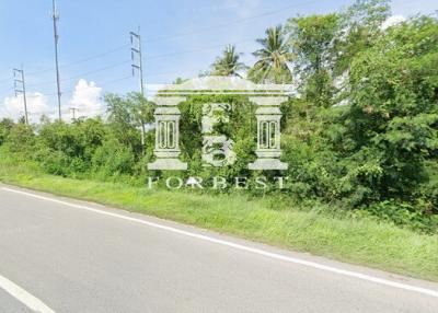 90455 - Land for sale, area 4-1-70 rai, Chaiyo District, Ang Thong, near the College of Physical Education, Ang Thong.