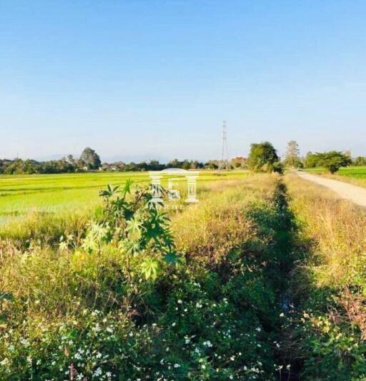 90486 - Land for sale, area 67-0-69 rai, Chotno Road (Chiang Mai-Fang), near various government centers.