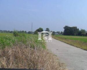 90486 - Land for sale, area 67-0-69 rai, Chotno Road (Chiang Mai-Fang), near various government centers.