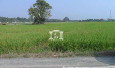 90486 - Land for sale, area 67-0-69 rai, Chotno Road (Chiang Mai-Fang), near various government centers.