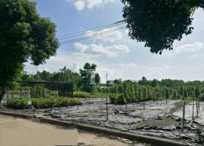 90023 - Land for sale, beautiful view, Alpite Golf Course, Khlong Luang 5, near Rajamangala University of Technology Thanyaburi, area 368 square wah