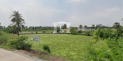 40699 - Salaya, Land for sale, Plot size 7 acres Plot size 18-0-3 rai ( 7 acres)