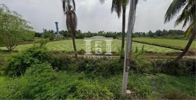 40699 - Salaya, Land for sale, Plot size 7 acres Plot size 18-0-3 rai ( 7 acres)