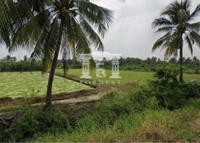 40699 - Salaya, Land for sale, Plot size 7 acres Plot size 18-0-3 rai ( 7 acres)