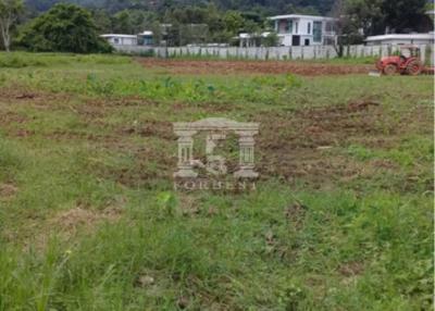 90044 - Ban Pong Yang, in Mae Rim, Chiang Mai, Land for sale, Plot size 4.3 acres