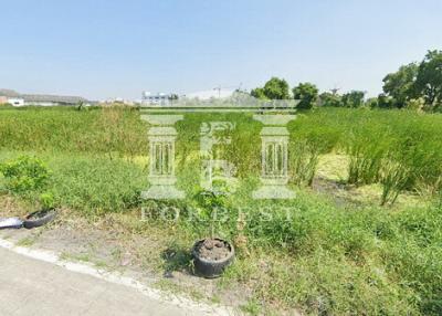 41464 - Land for sale, area 19-0-29 rai, Theparak Road, near Samaporn Fresh Market.