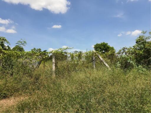 40325 - Chaiyapruek-Nonthaburi, Land For Sale, plot size 5,972 Sq.m.