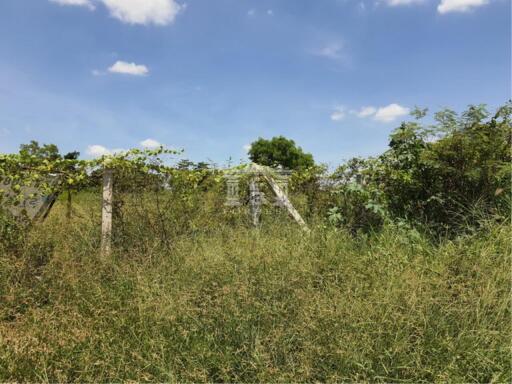 40325 - Chaiyapruek-Nonthaburi, Land For Sale, plot size 5,972 Sq.m.