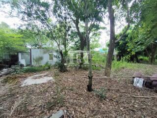 41123 - Land for sale in Bang Phrom, Phutthamonthon Sai 2, near New Phra Thep Road, area 233 square wa