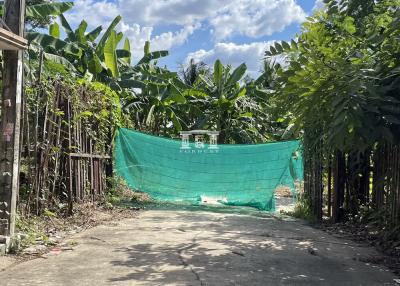 41123 - Land for sale in Bang Phrom, Phutthamonthon Sai 2, near New Phra Thep Road, area 233 square wa