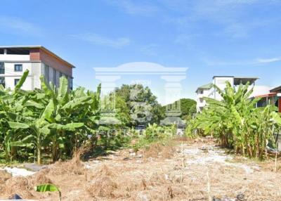 41441 - Phahon Yothin 48, Land for sale, Plot size 3,392 Sq.m.